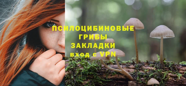 ECSTASY Зеленодольск