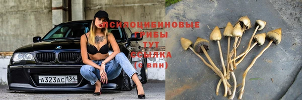 ALPHA-PVP Зеленокумск