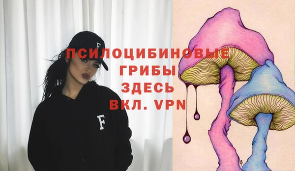 ECSTASY Зеленодольск