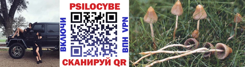 Галлюциногенные грибы ЛСД  Купить закладки  Верещагино 